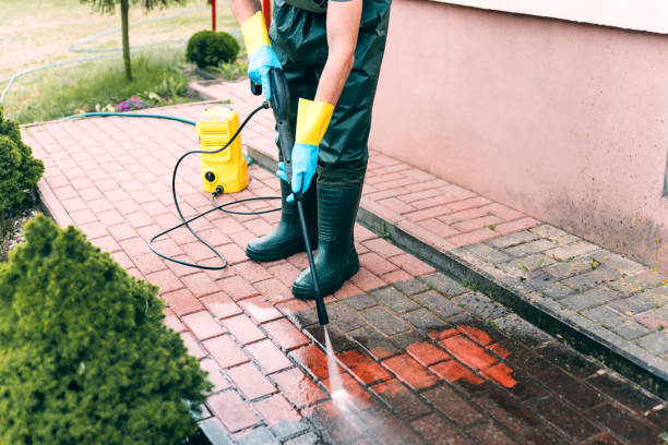 Best Driveway Pressure Washing  in Camden, OH